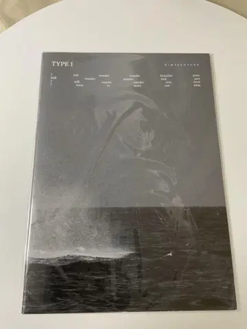BTS V 테테 TYPE1 전시회 굿즈 포스터 북