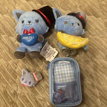 제오 참 레인 군 묶음 판매
