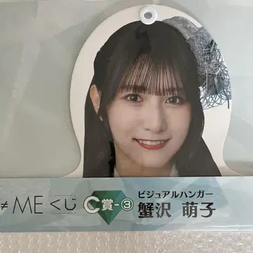 노이미 복권 비주얼 행거 C상 카니사와 모에코
