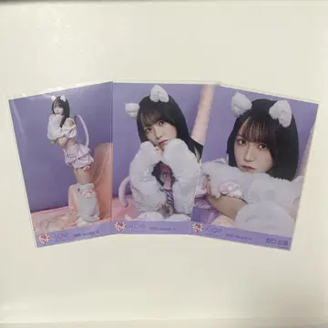 =LOVE 이코라브 노구치 이오리 브로마이드 컴프 고양이 의상
