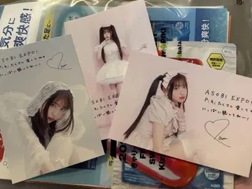 Piki 사쿠라바 하야카 엽서 3장 세트