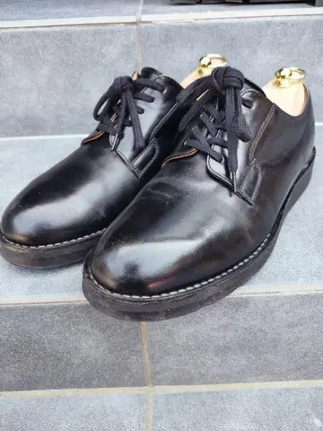 Danner 포스트맨 신발