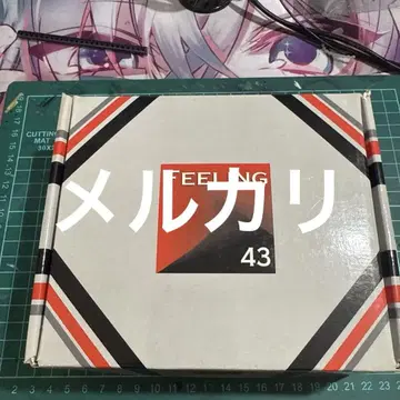 FEELING43