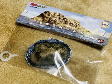 오가사와라 괴수 랜드 오너먼트