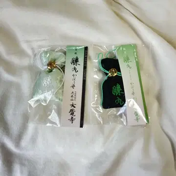 다이카쿠지 히자마루 카호리모리