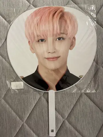SEVENTEEN JEONGHAN 부채