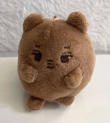 exo 카이 봉제 인형 EXO 곰