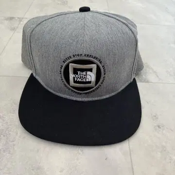 THE NORTH FACE 그레이 캡 FREE 사이즈