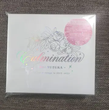 Culmination 유자 빛