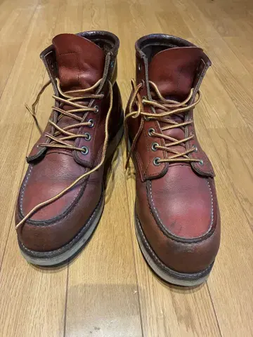 REDWING 레드윙 8875 아이리쉬 세터 71/2D