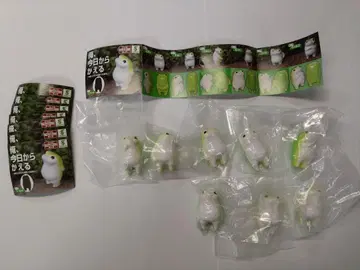 나, 오늘부터 돌아갈게 8개 세트