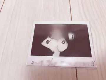 쵸코라비 유페군 실사 폴라로이드