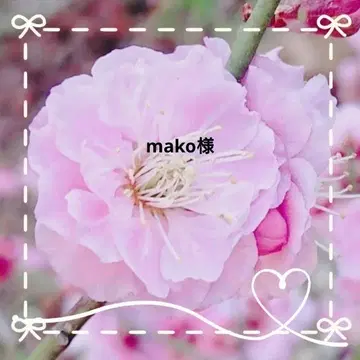 mako 님, 거즈 손수건