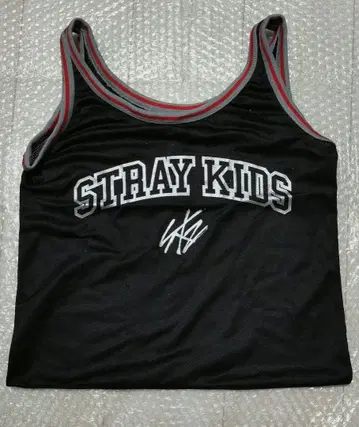 StrayKids 스키즈 에코파 업그레이드 혜택 메쉬 백