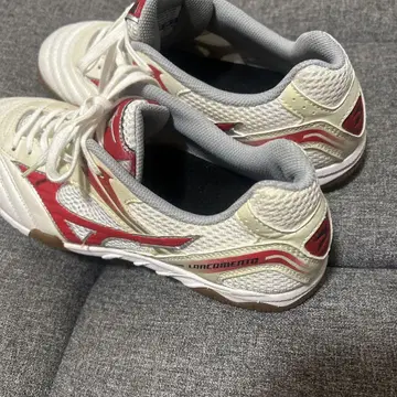 Mizuno 랜서먼트 웨이브 프로 4 26.0cm