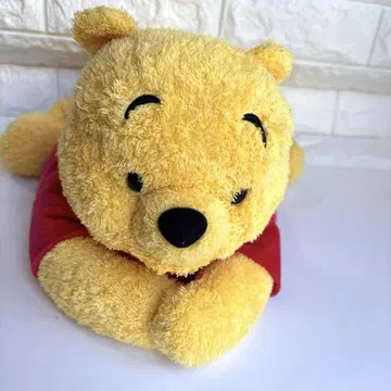 푸우 티슈 케이스