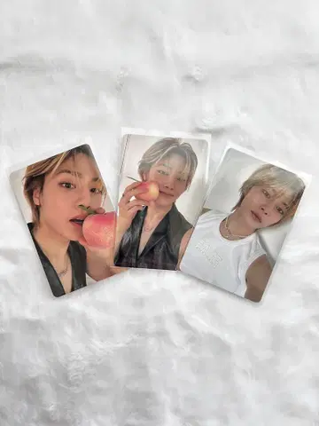 DICON 아이엔트레카 B ver