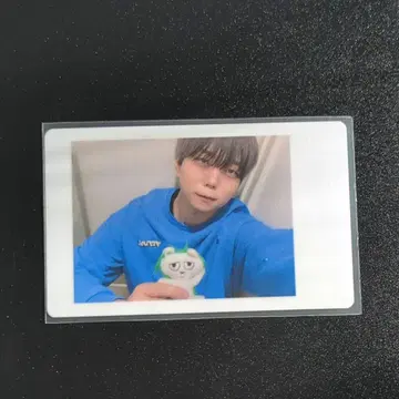 아즈 팬더 드래곤 하피카 인형 무도관 배출분