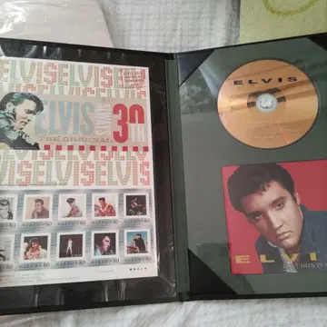 엘비스 30주년