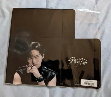 skz 자이언트 FC 한정판 앨범 수납 BOX