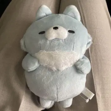 (새상품) 리락쿠마 모두 함께 만끽 마쿠마쿠 봉제 인형 아오이 늑대