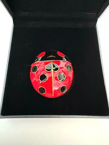 아라키 히로히코 원화전 JOJO 모험의 파문 조르노 무당벌레 브로치