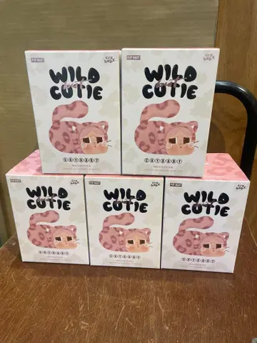 CRYBABY Wild but Cutie 시리즈 - 5개 세트