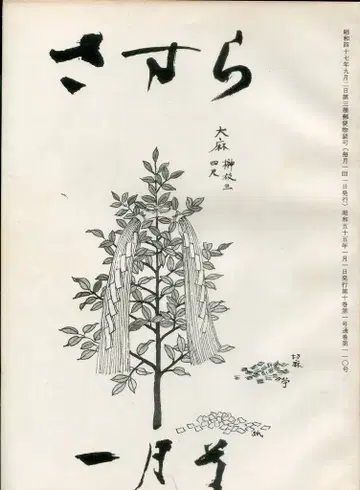 1980년 1월호 사스라 110