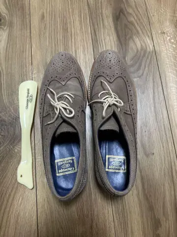 Guiseppe Sergiotti 브라운 윙 칩 신발