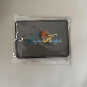 후지이 카제 러기지 태그