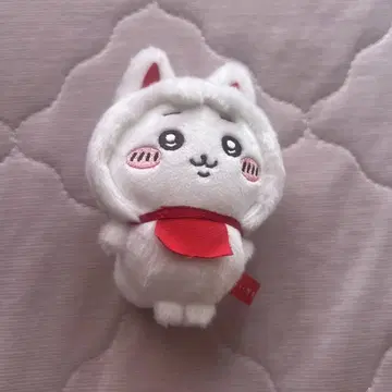 치이카와 (먼작귀) 이나리 마스코트