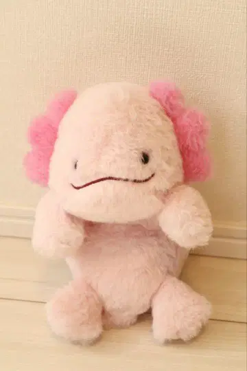 (L) 우파루파