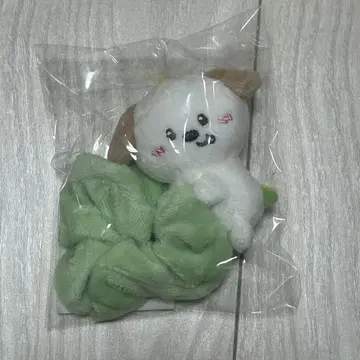 riize 앤톤 몽리온 스크런치