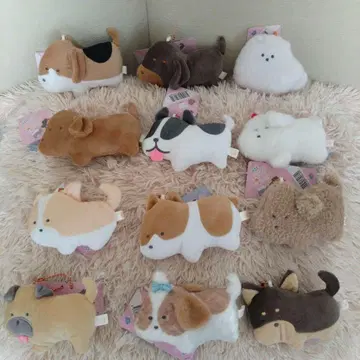 둥근 눈의 개와 고양이 마스코트 12종 세트