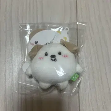 riize 앤톤 몽리옹 키링