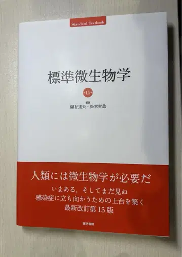 표시 사이즈