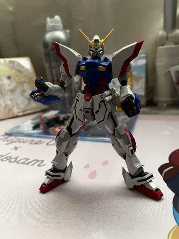 RG 샤이닝 건담
