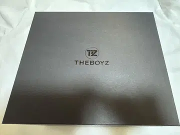 THE BOYZ 응원봉