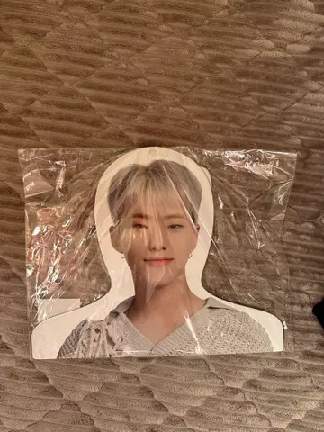 세부치 호시 포토 행거