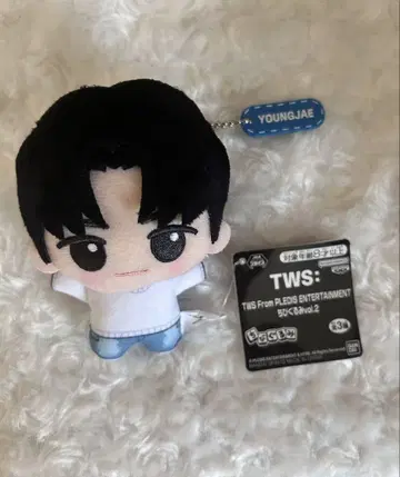 TWS 용제 SD 인형