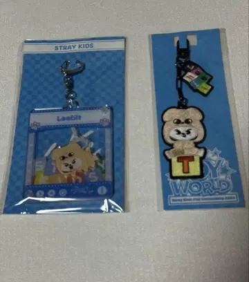 Stray Kids TOYWORLD Lee 비트 키링 리노