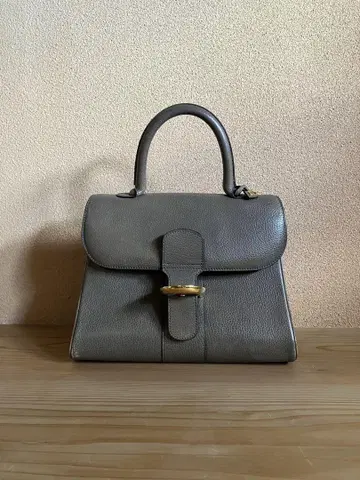 Delvaux 브리용 핸드백 골드 금장 장식