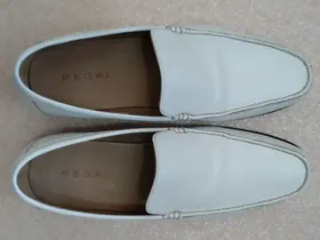 레갈 26cm