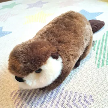 CUTE 비버 봉제 인형  동물원  수족관