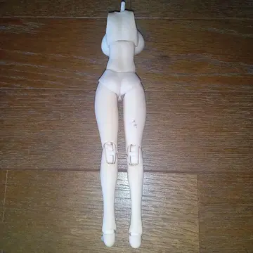 소체 피규어 정크 제품