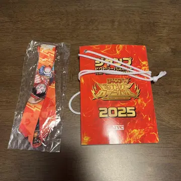 점프 빅토리 카니발 2025 여권