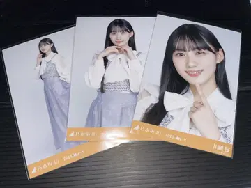 노기자카46 브로마이드 가와사키 벚꽃