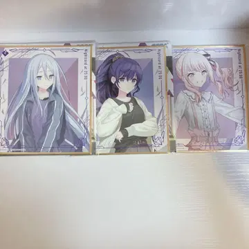 프로세카 니고 색지