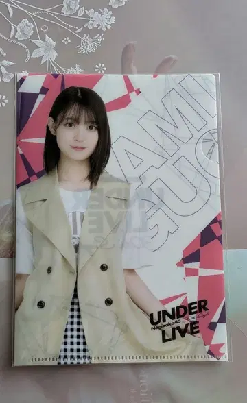 사카구치 타마미 Nogizaka46 A5 클리어 파일
