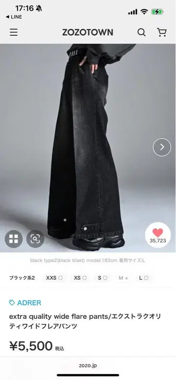 엑스트라 와이드 플레어 데님 팬츠 M 블랙